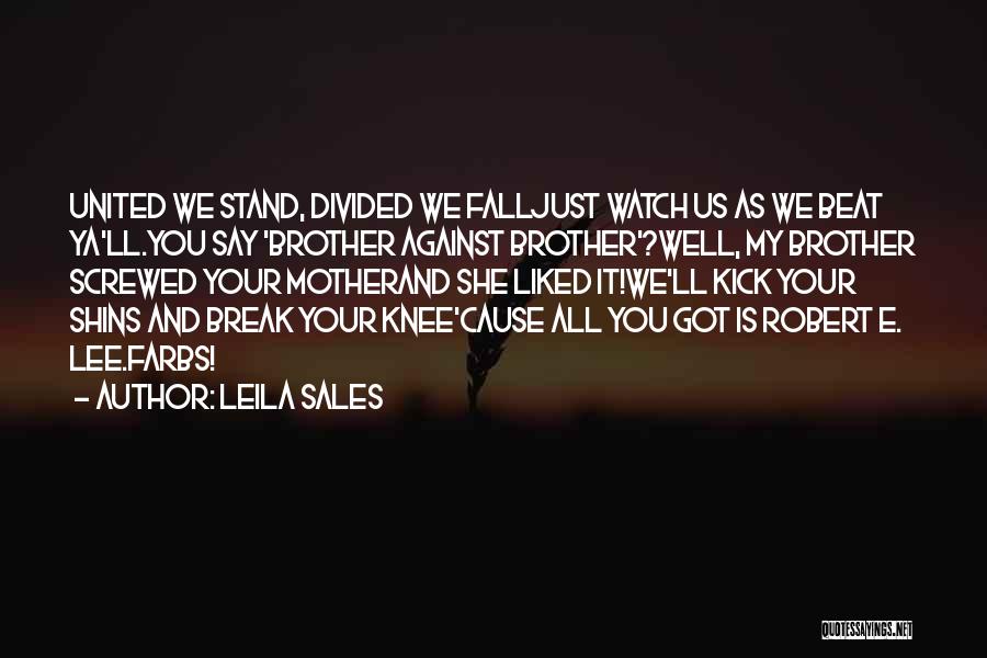 We Stand United Quotes By Leila Sales