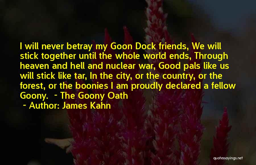 We Stick Together Quotes By James Kahn