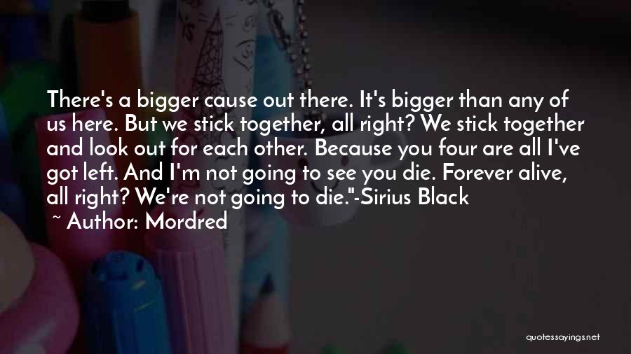 We Stick Together Quotes By Mordred