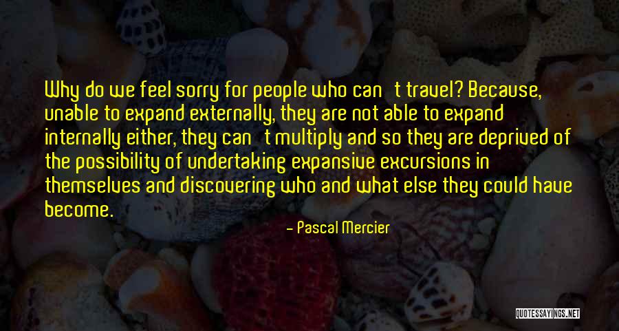 We Travel Quotes By Pascal Mercier