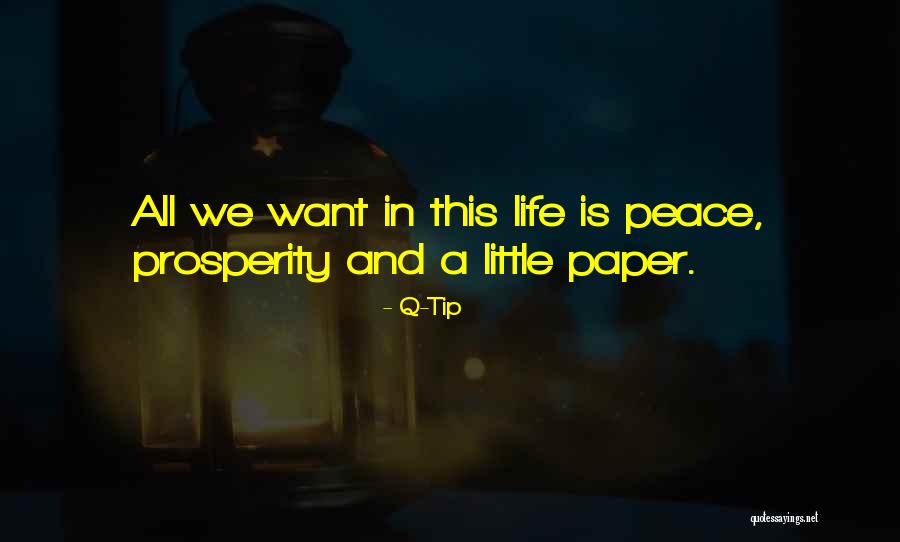 We Want Peace Quotes By Q-Tip