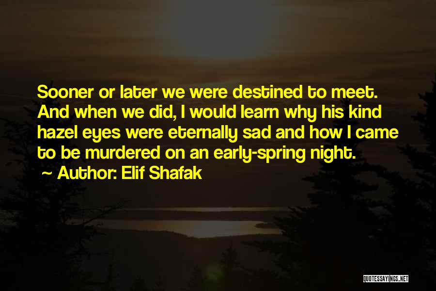 We Were Destined To Meet Quotes By Elif Shafak