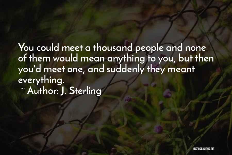 We Were Meant To Meet Quotes By J. Sterling