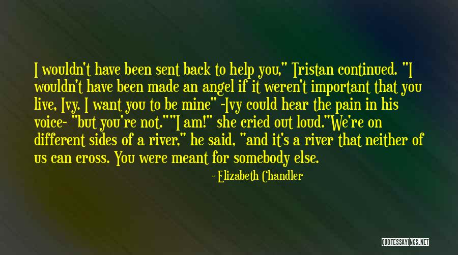 We Were Not Meant To Be Quotes By Elizabeth Chandler