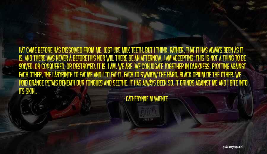 We Will Always Be Together Quotes By Catherynne M Valente We Will Always Be Together Quotes By Catherynne M Valente