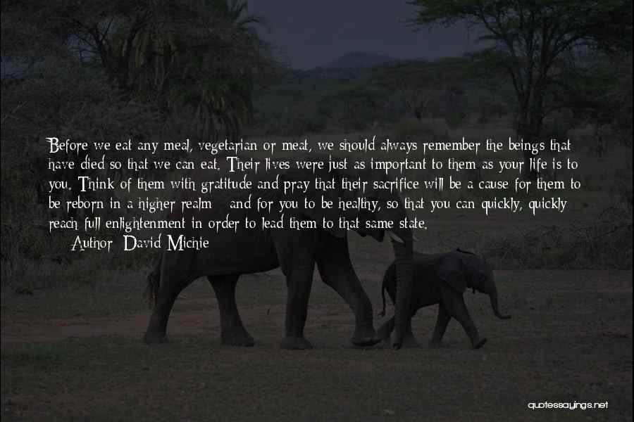 We Will Always Remember You Quotes By David Michie