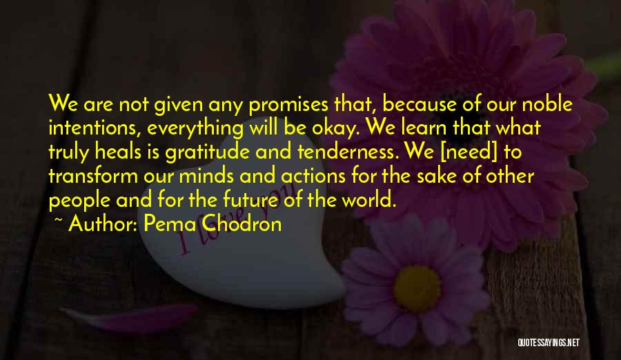 We Will Be Okay Quotes By Pema Chodron