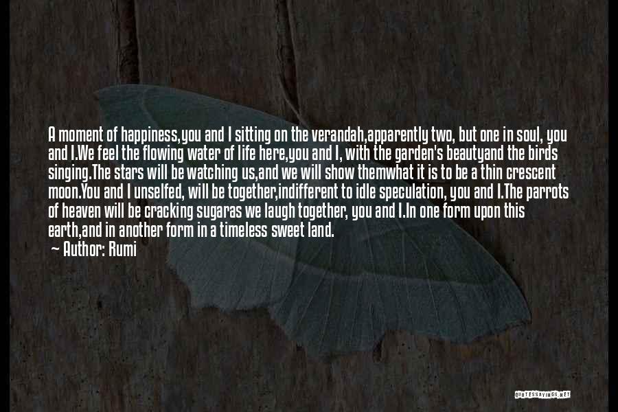 We Will Be Together Love Quotes By Rumi