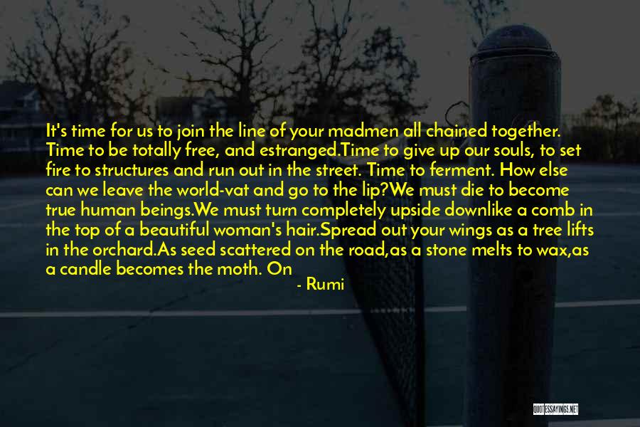 We Will End Up Together Quotes By Rumi We Will End Up Together Quotes By Rumi