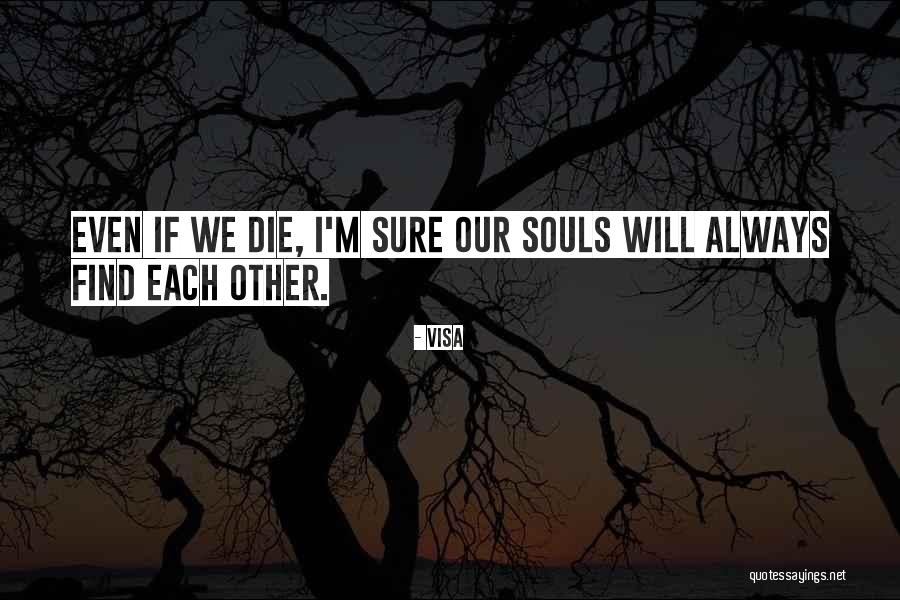 We Will Find Each Other Quotes By Visa