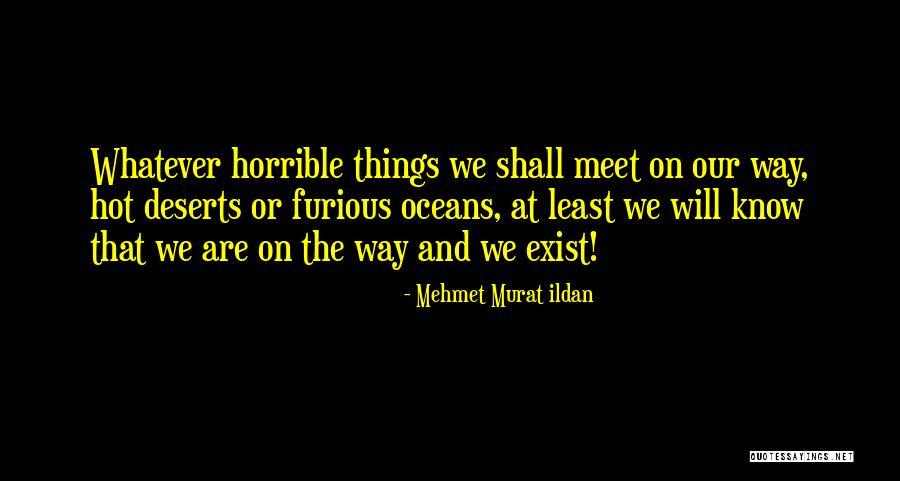 We Will Meet Quotes By Mehmet Murat Ildan We Will Meet Quotes By Mehmet Murat Ildan