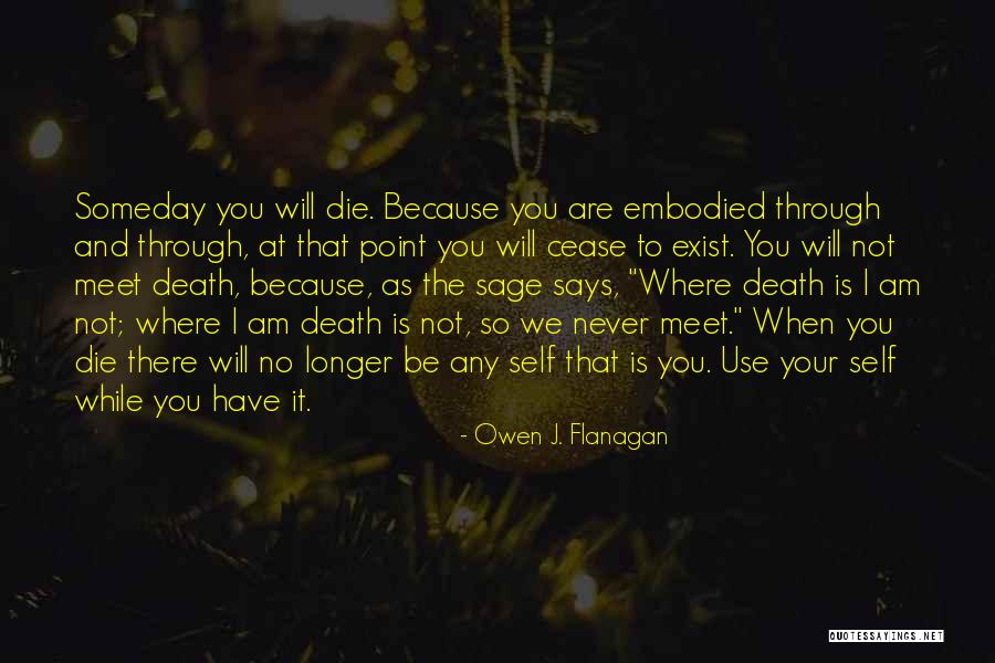 We Will Meet Quotes By Owen J. Flanagan We Will Meet Quotes By Owen J. Flanagan