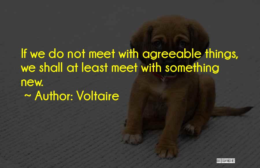 We Will Meet Soon Quotes By Voltaire