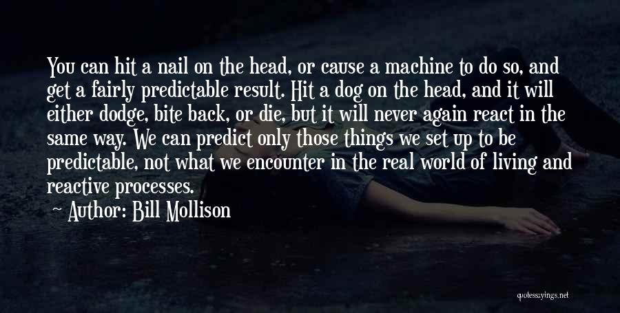 We Will Never Be The Same Again Quotes By Bill Mollison