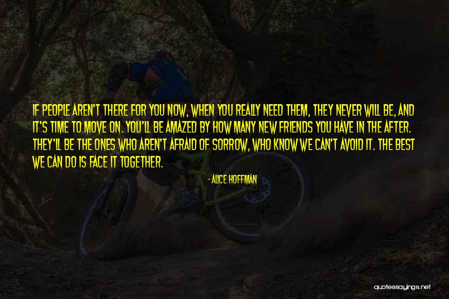 We Will Never Be Together Quotes By Alice Hoffman We Will Never Be Together Quotes By Alice Hoffman