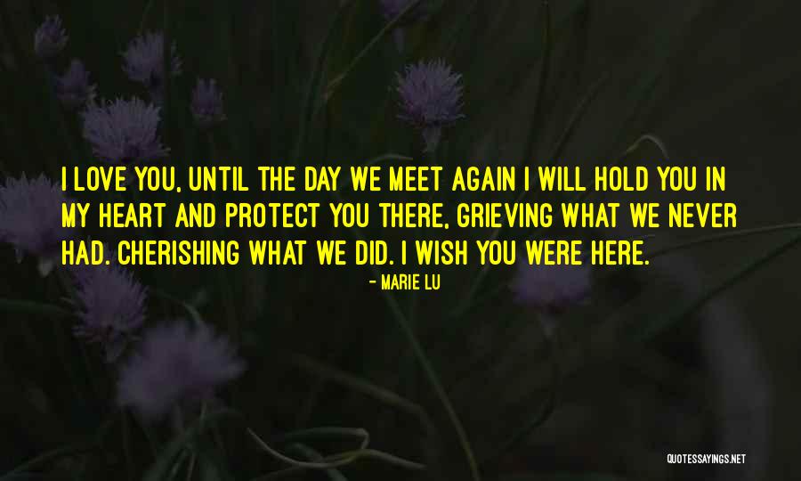 We Will Never Meet Quotes By Marie Lu