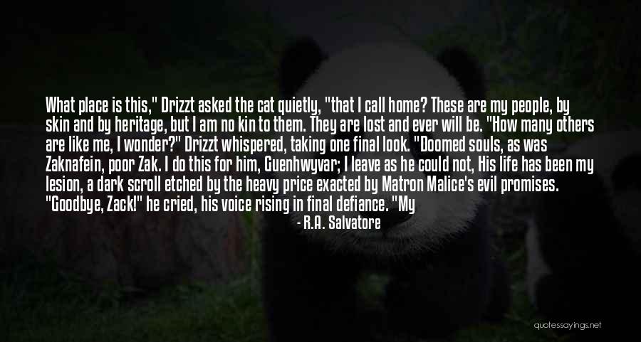 We Will Not Meet Again Quotes By R.A. Salvatore