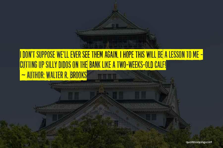 We Will See Again Quotes By Walter R. Brooks