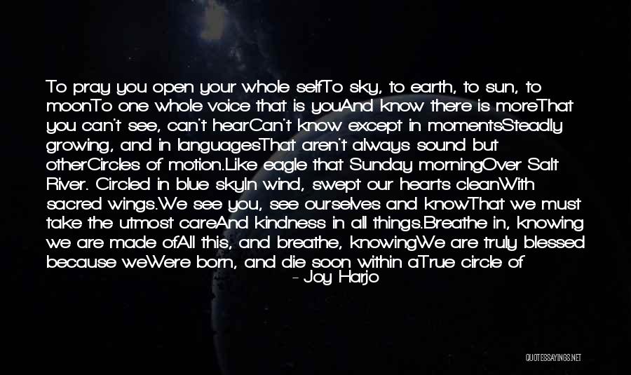 We Will See You Soon Quotes By Joy Harjo We Will See You Soon Quotes By Joy Harjo