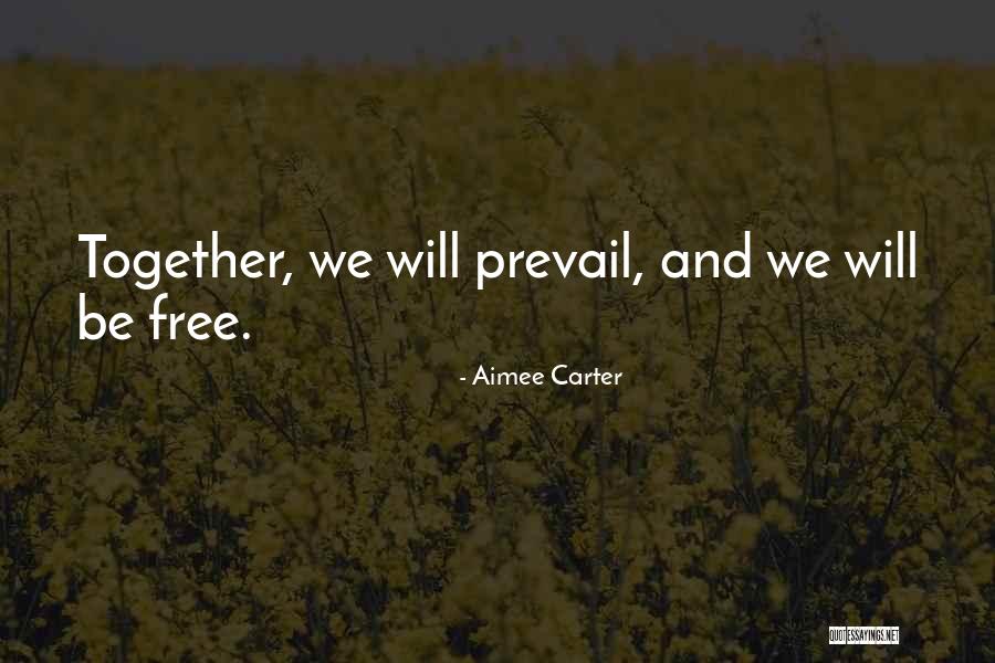 We Will Together Quotes By Aimee Carter