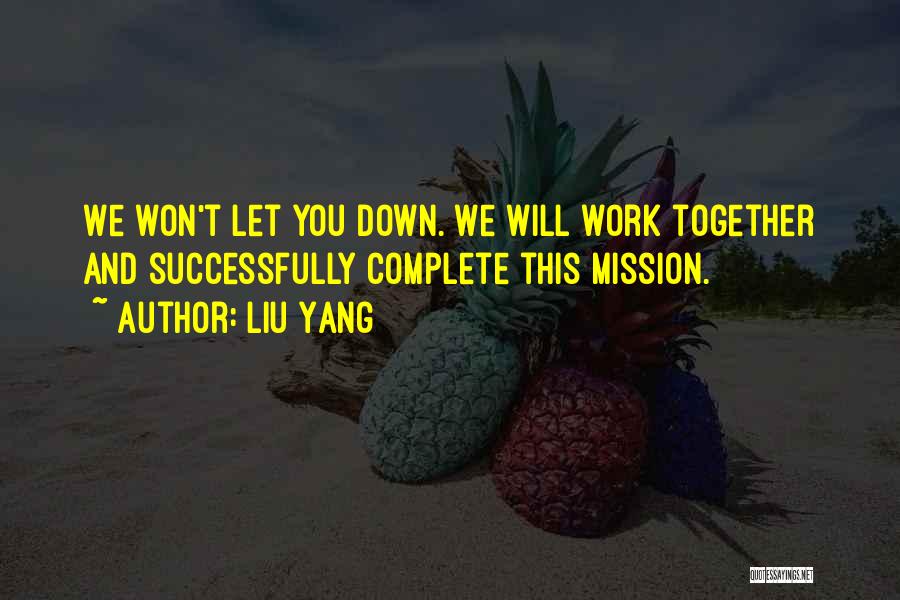 We Will Work Together Quotes By Liu Yang