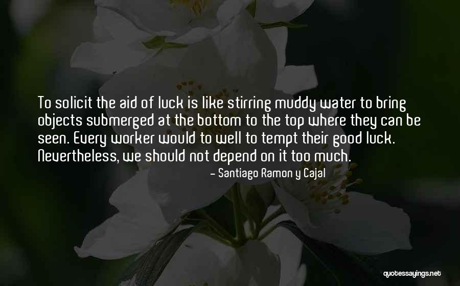 We Wish You Good Luck Quotes By Santiago Ramon Y Cajal