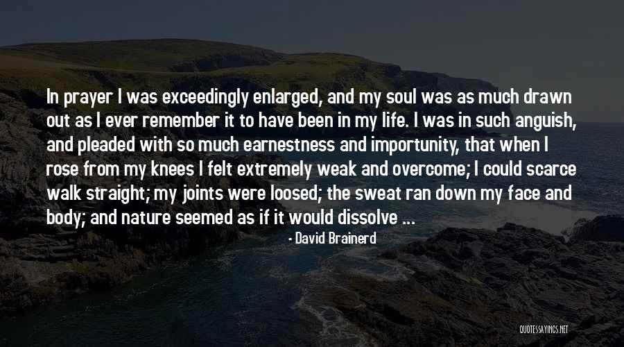 Weak At The Knees Quotes By David Brainerd Weak At The Knees Quotes By David Brainerd