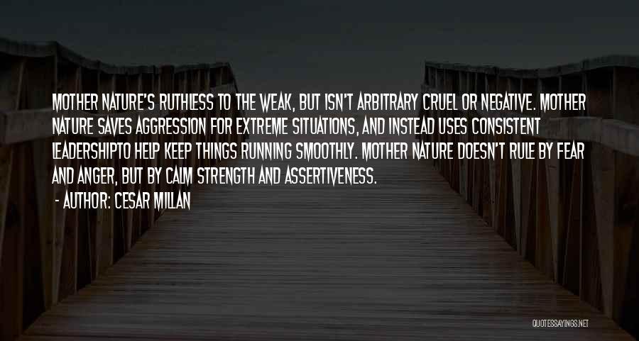 Weak Leadership Quotes By Cesar Millan