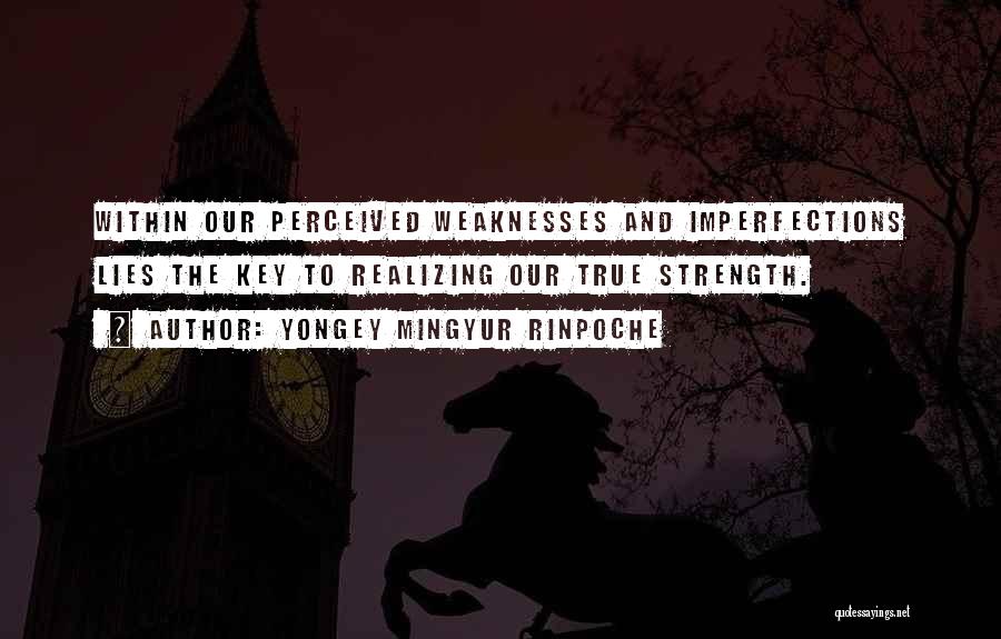 Weaknesses And Strength Quotes By Yongey Mingyur Rinpoche