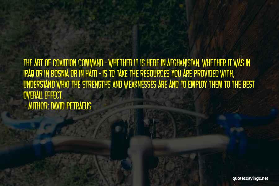 Weaknesses And Strengths Quotes By David Petraeus