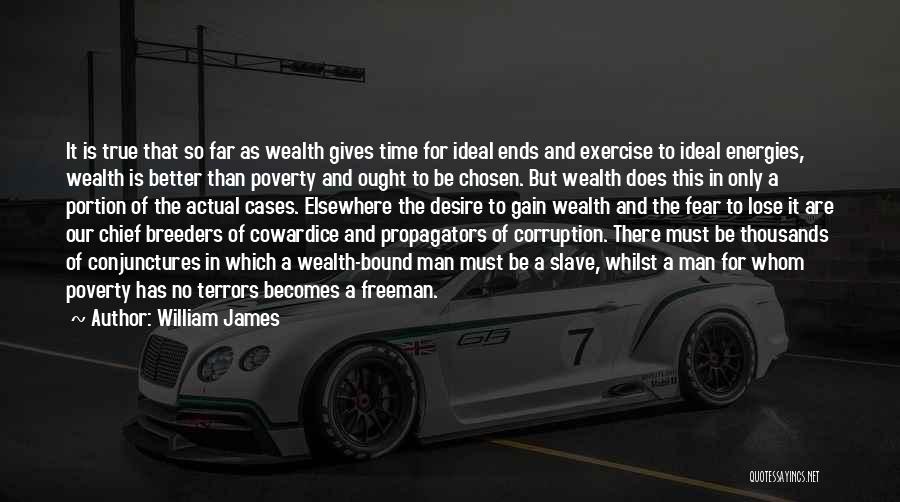 Wealth And Corruption Quotes By William James