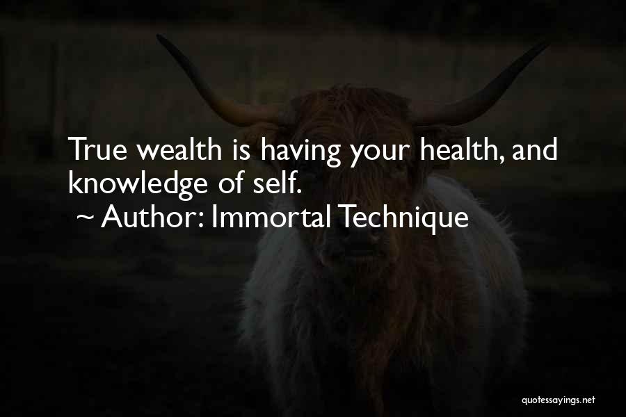 Wealth And Health Quotes By Immortal Technique