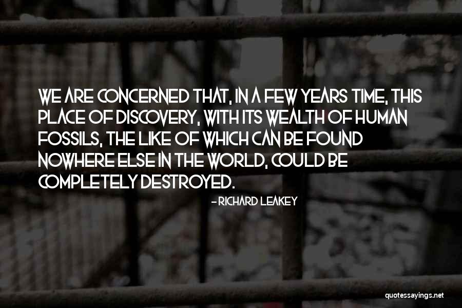 Wealth Discovery Quotes By Richard Leakey Wealth Discovery Quotes By Richard Leakey