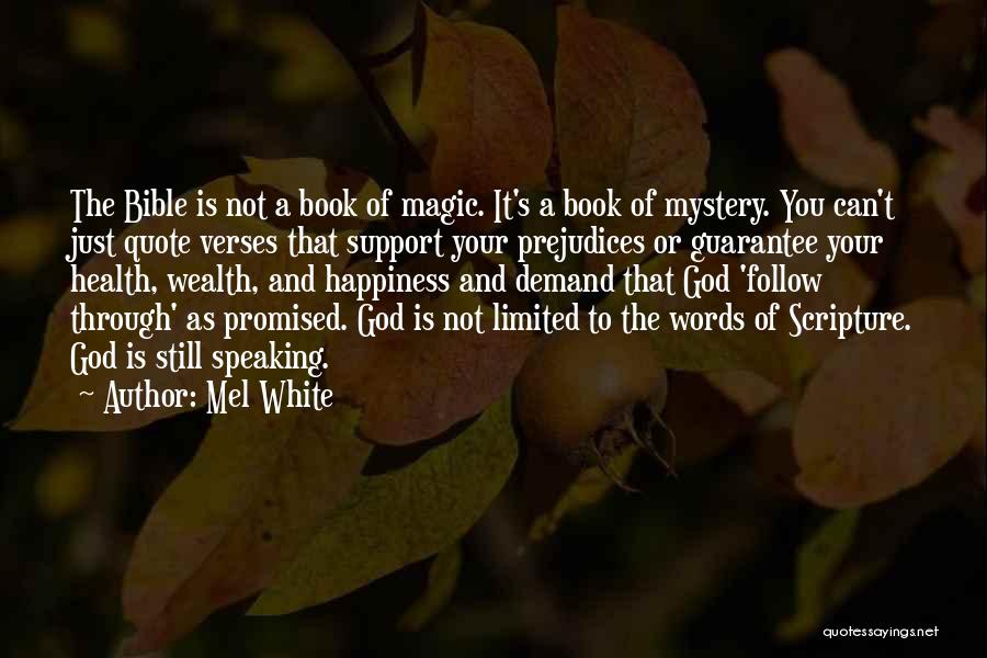 Wealth In The Bible Quotes By Mel White