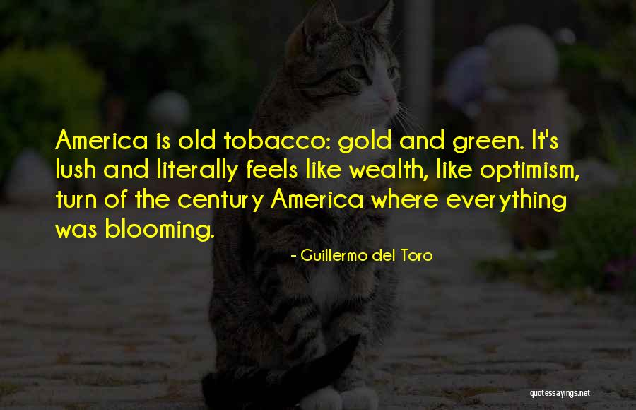 Wealth Is Everything Quotes By Guillermo Del Toro Wealth Is Everything Quotes By Guillermo Del Toro