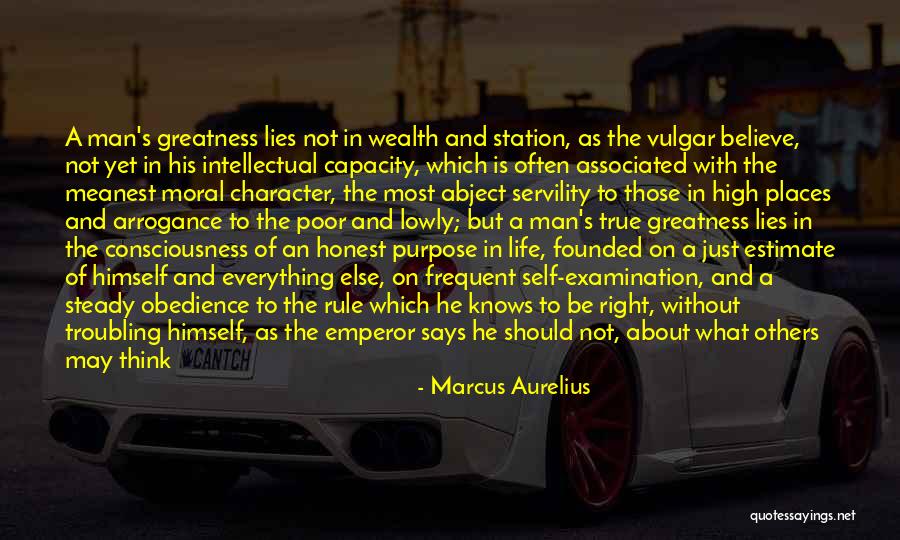 Wealth Is Everything Quotes By Marcus Aurelius