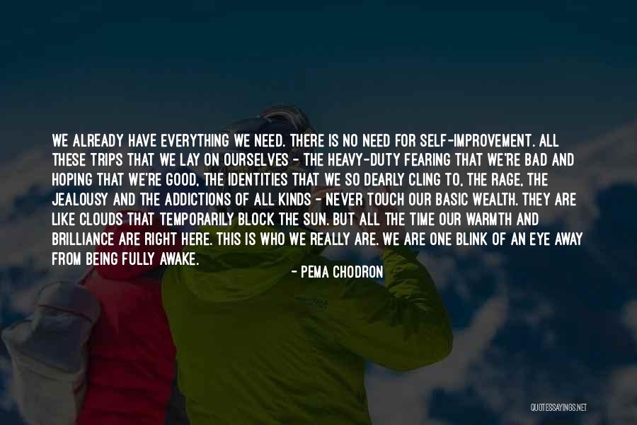 Wealth Is Everything Quotes By Pema Chodron Wealth Is Everything Quotes By Pema Chodron