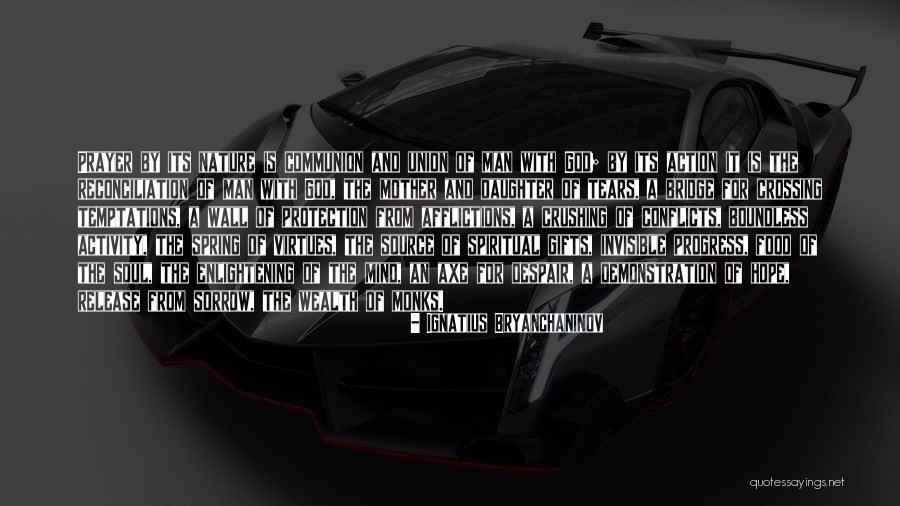 Wealth Protection Quotes By Ignatius Bryanchaninov Wealth Protection Quotes By Ignatius Bryanchaninov
