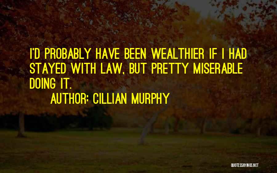 Wealthier Quotes By Cillian Murphy