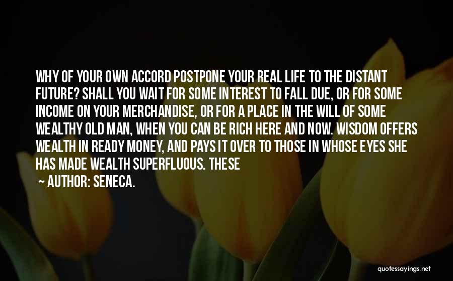 Wealthy Man Quotes By Seneca.