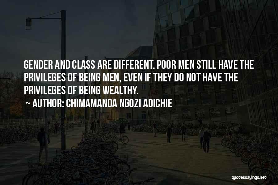 Wealthy Vs Poor Quotes By Chimamanda Ngozi Adichie