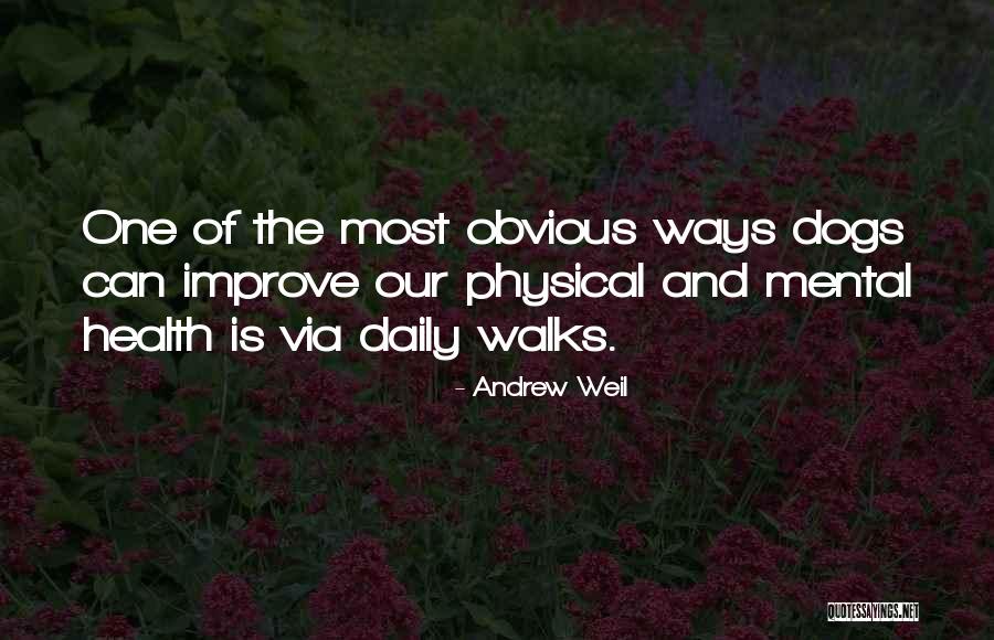 Weapons Training Bruce Dawe Quotes By Andrew Weil