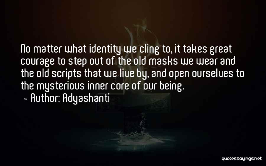 Wear Out Quotes By Adyashanti