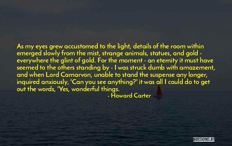 Weareiowa Quotes By Howard Carter Weareiowa Quotes By Howard Carter