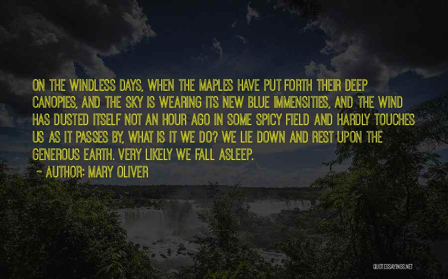 Wearing Blue Quotes By Mary Oliver