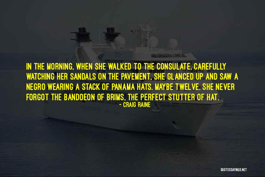 Wearing Sandals Quotes By Craig Raine Wearing Sandals Quotes By Craig Raine