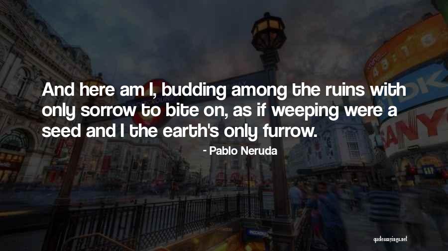 Wearing Uniforms In Schools Quotes By Pablo Neruda Wearing Uniforms In Schools Quotes By Pablo Neruda