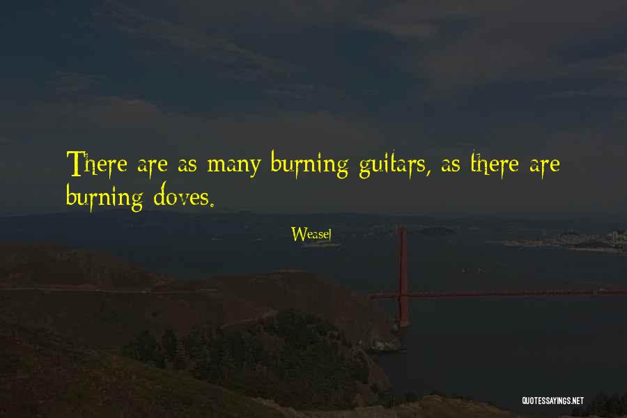Weasel Quotes 698828 Weasel Quotes 698828