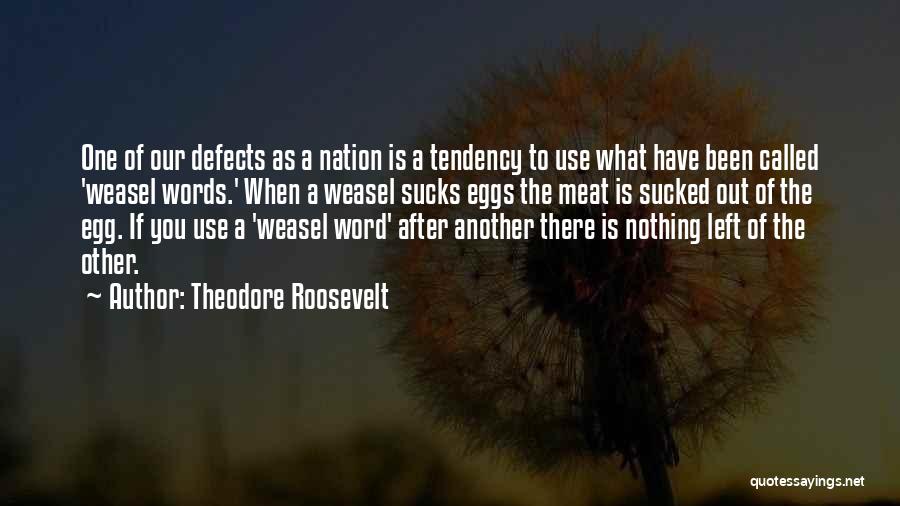 Weasel Words Quotes By Theodore Roosevelt