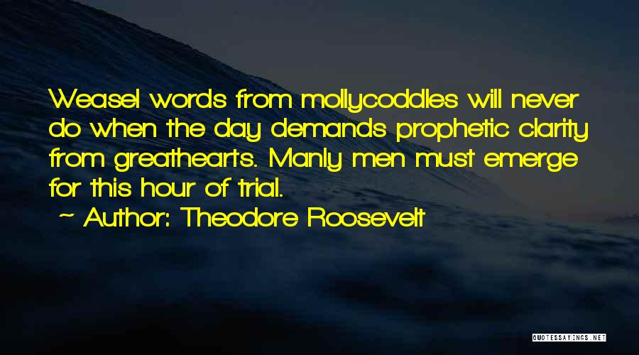 Weasel Words Quotes By Theodore Roosevelt